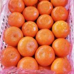 Caspian Fruits is an iranian fruit company that exports fresh iran mandarins