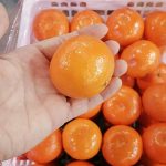 Caspian Fruits is an iranian fruit company that exports fresh iran tangerines