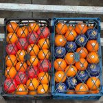 Iranian oranges