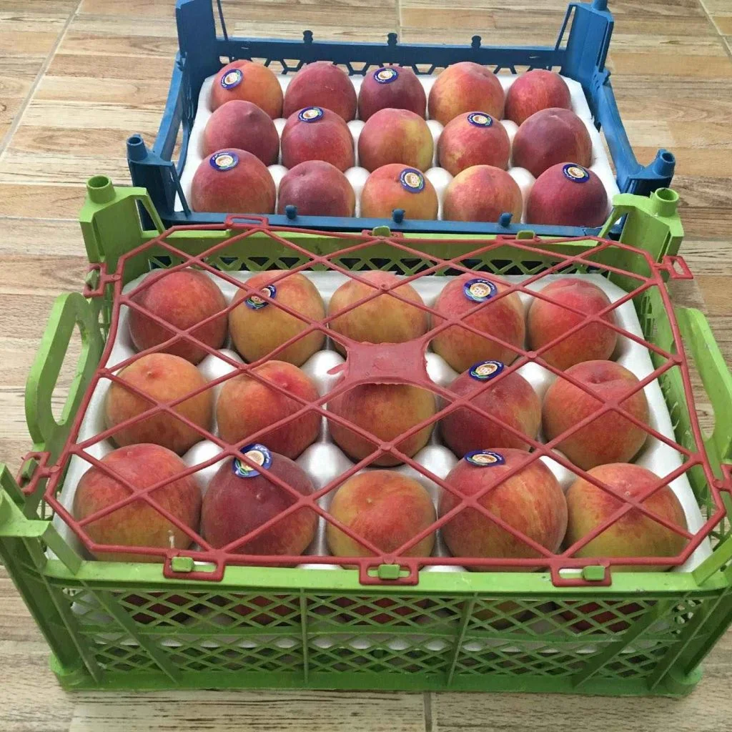 Caspian Fruits is Iran fruits company, exporting Iran peach
