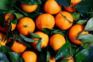 iran tangerine