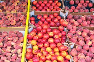 peach and nectarines in iran fruits market